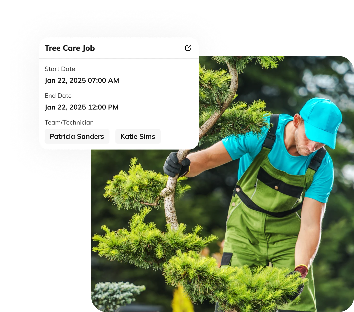 Why-Choose-upvoit-tree-care-business-software