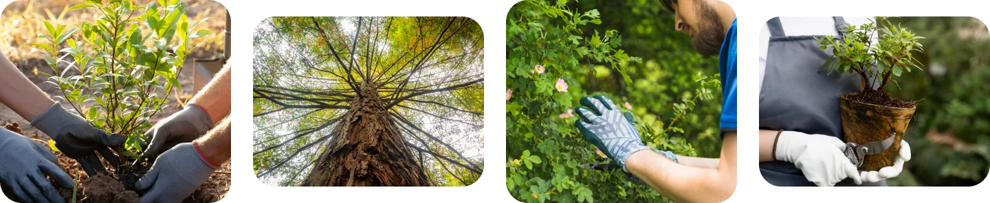 upvoit-tree-care-business-software